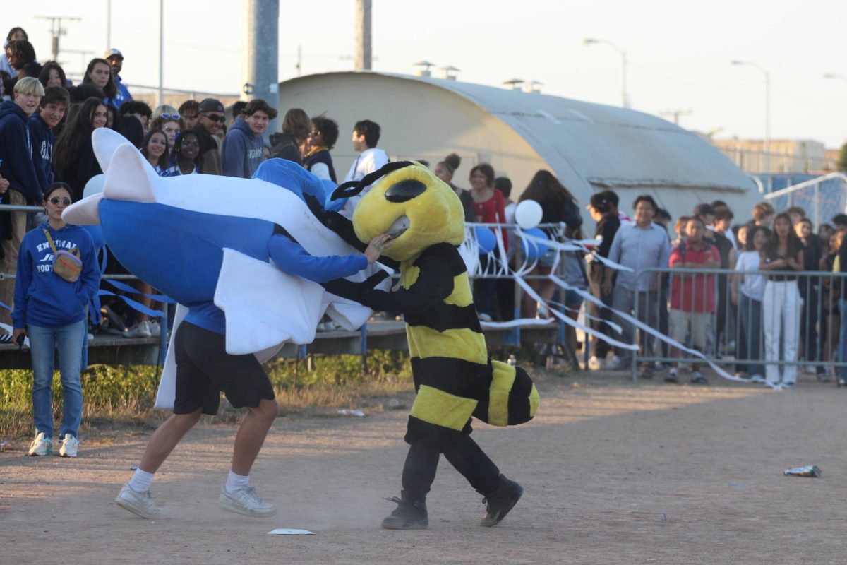 Jetty and Buzzy engage in a playful scuffle during the first half of the Island Bowl.