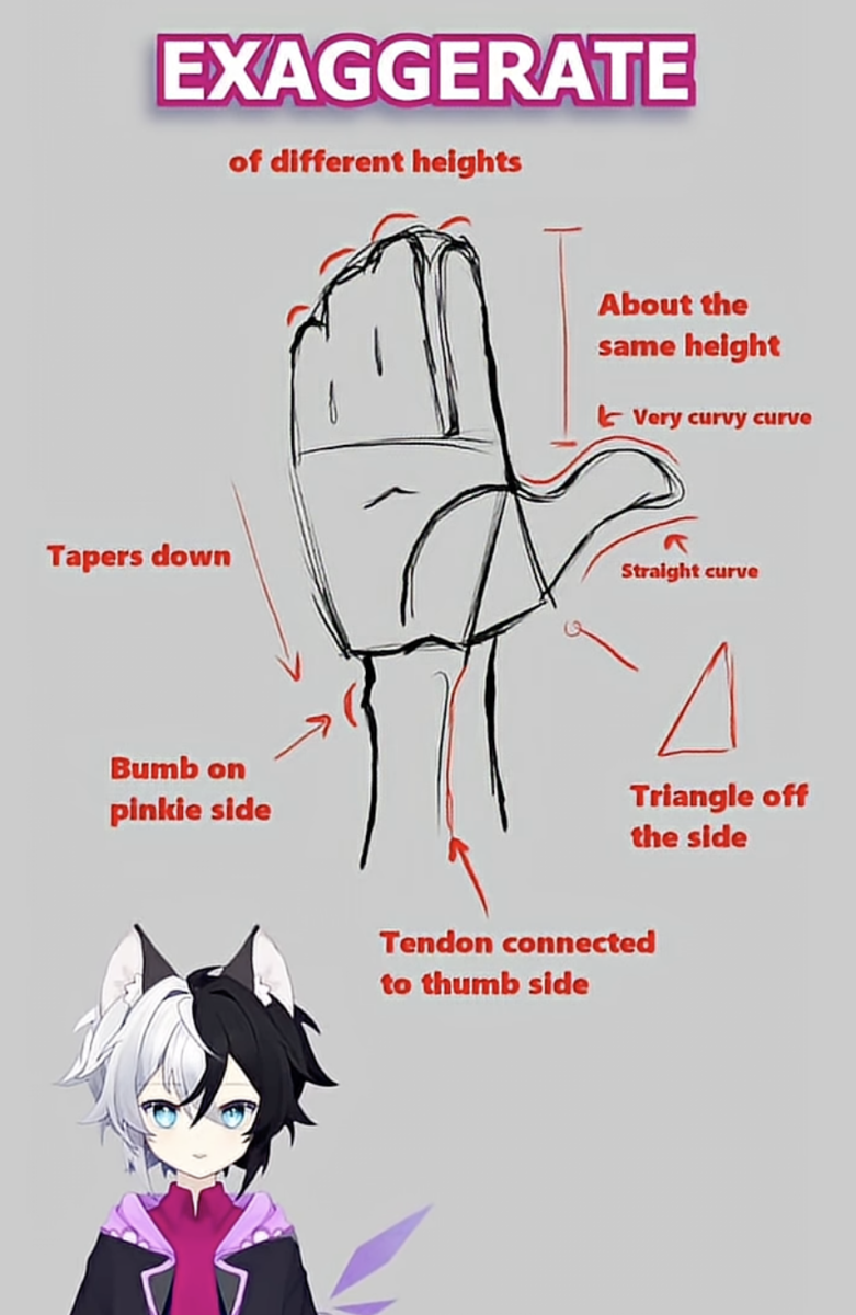 Lynx_HandGuide